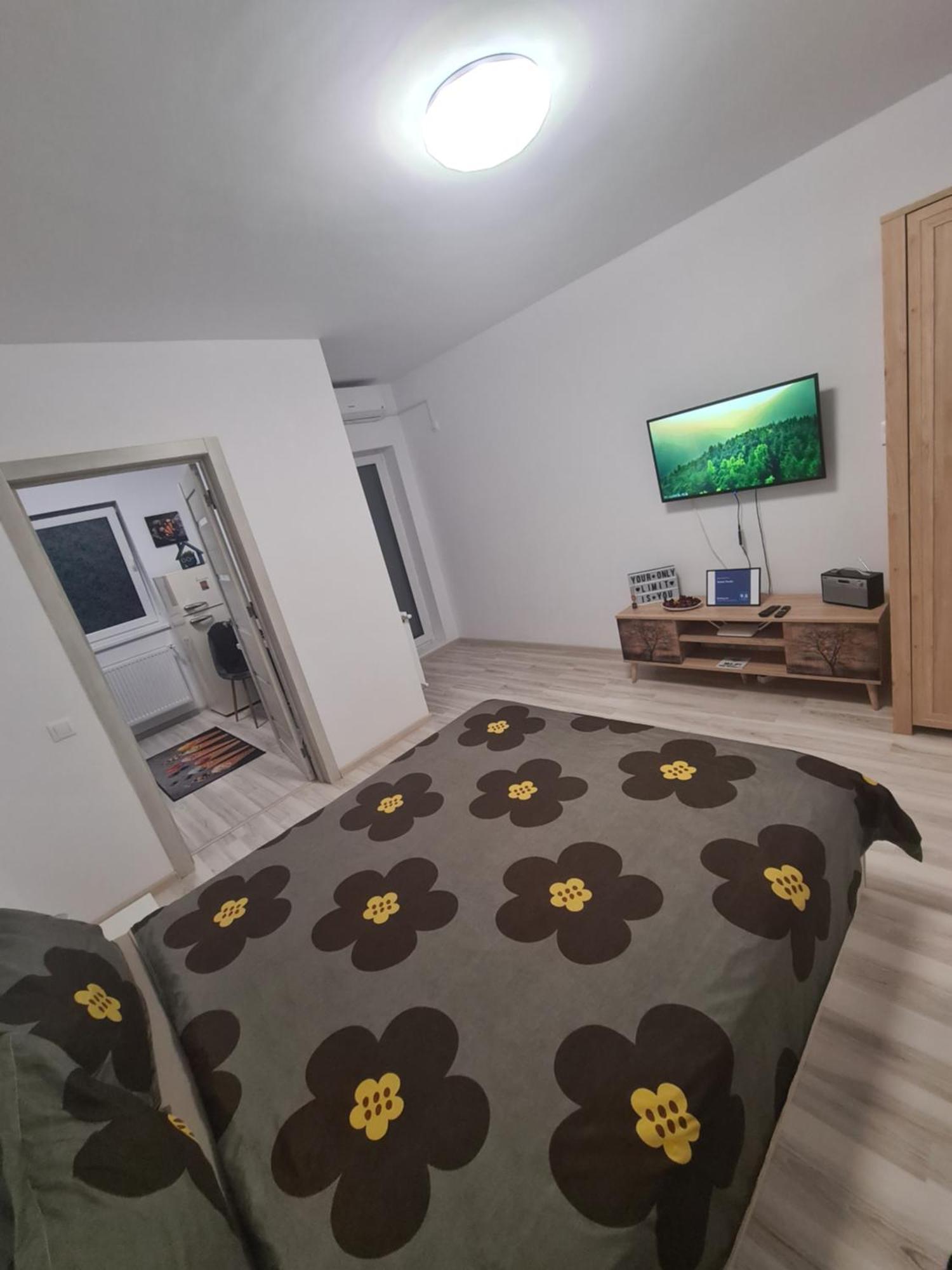 Siriului Studio 布加勒斯特 外观 照片